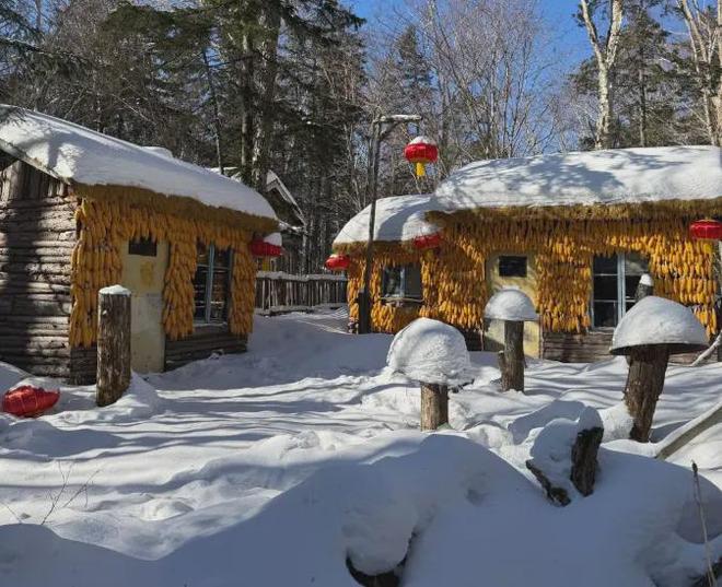 ！哈尔滨远胜游实力上榜成游客首选游开元棋牌app哈尔滨十佳旅行社揭晓(图1)